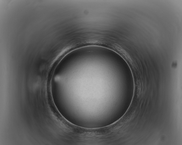 X0000094780482200711241342