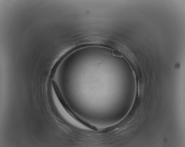 X0000094780483200711241342