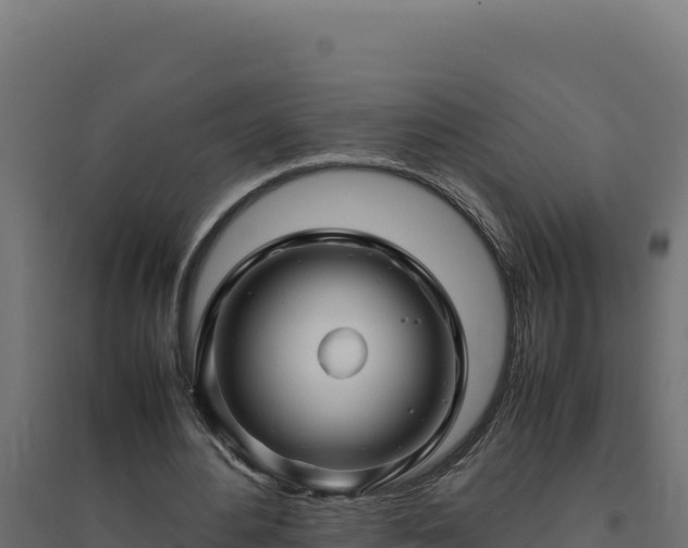 X0000094780484200711241342