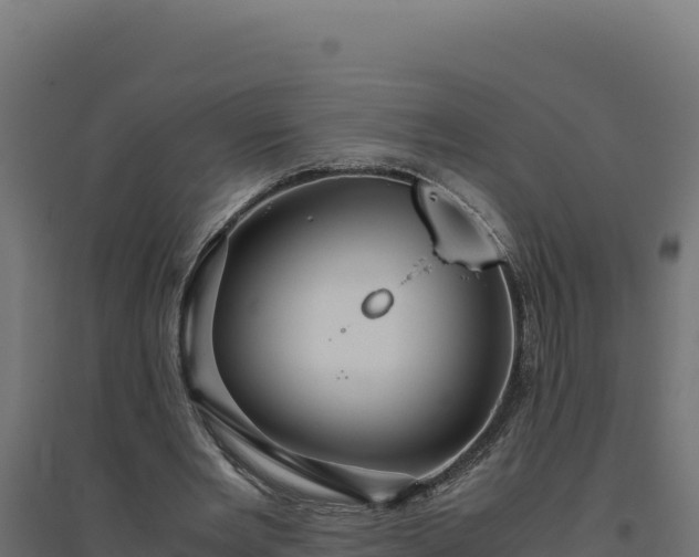 X0000094780485200711241342