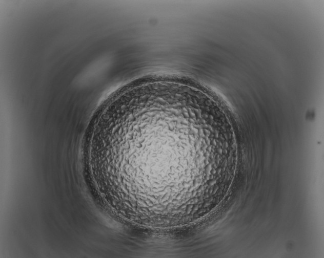 X0000094780487200711241342