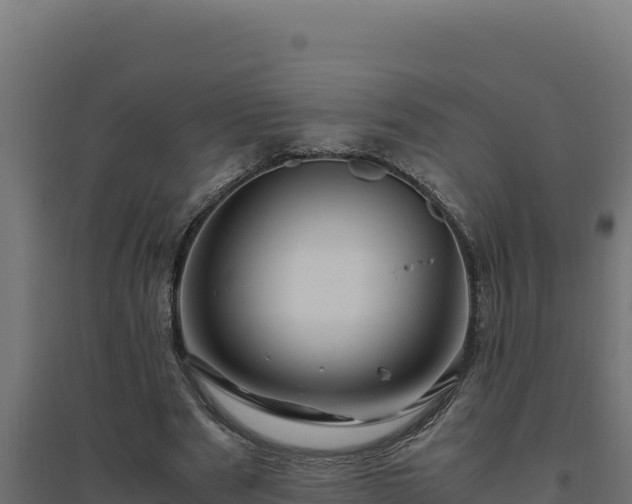 X0000094780489200711241342