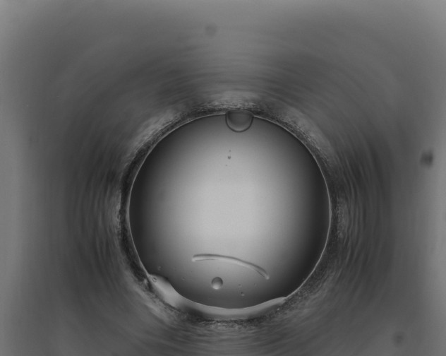 X0000094780490200711241342