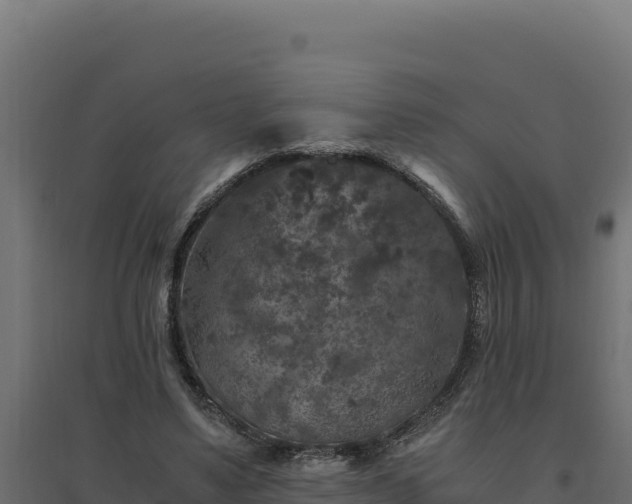 X0000094780491200711241342