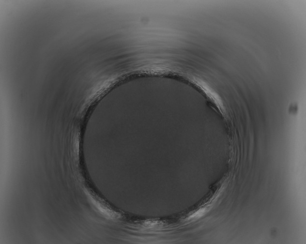 X0000094780493200711241342