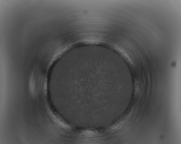 X0000094780494200711241342