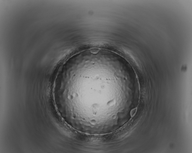 X0000094780495200711241342