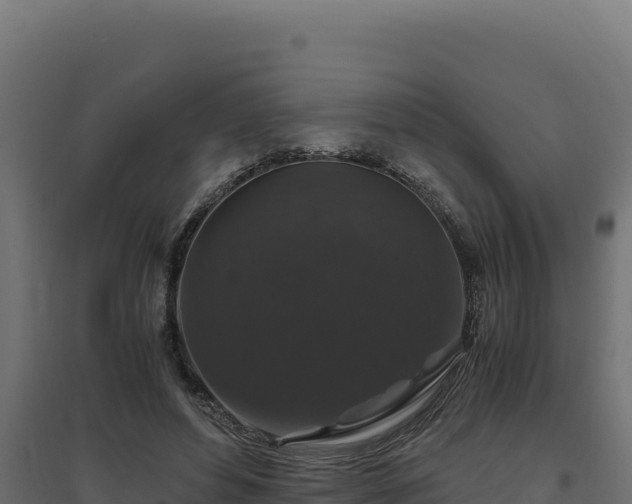 X0000094780496200711241342
