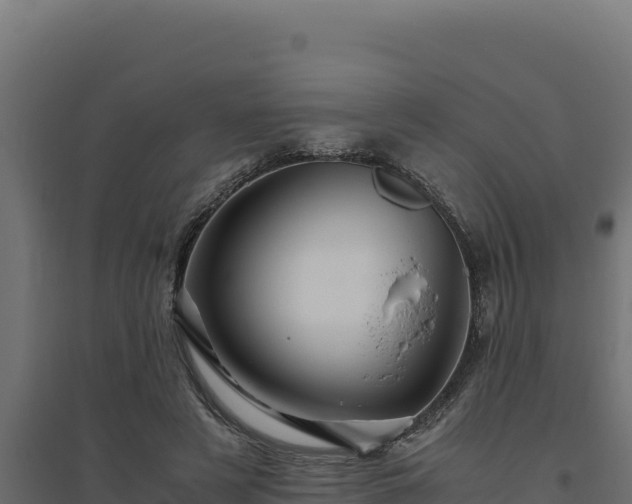X0000094780497200711241342