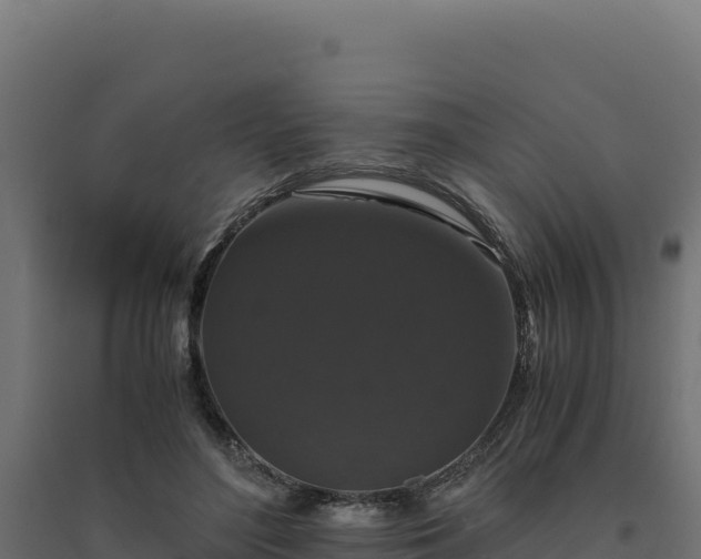 X0000094780500200711241342
