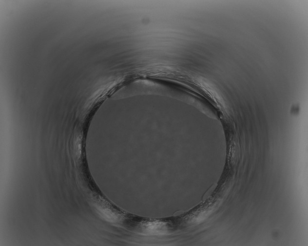 X0000094780501200711241342