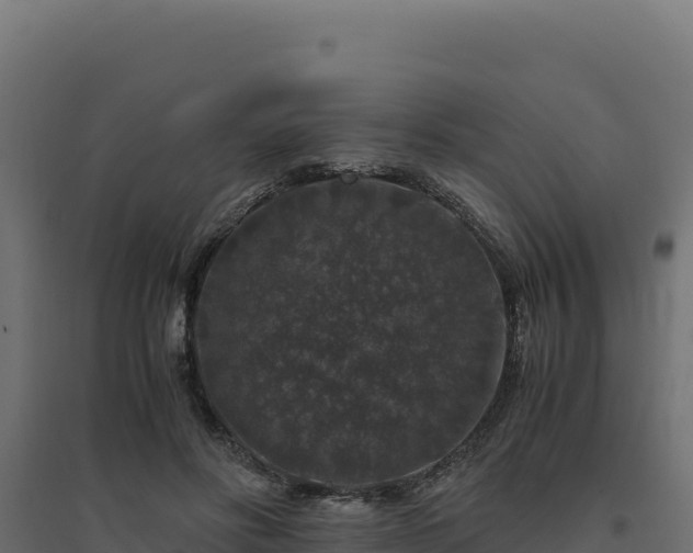 X0000094780502200711241342