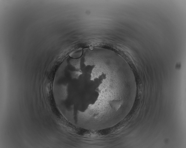X0000094780503200711241342