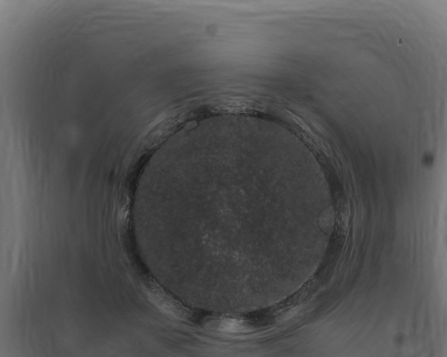 X0000094780507200711241342