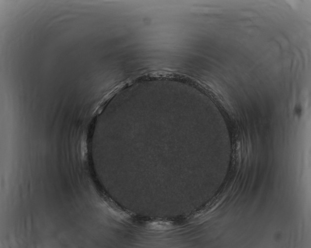 X0000094780508200711241342