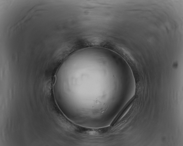 X0000094780509200711241342