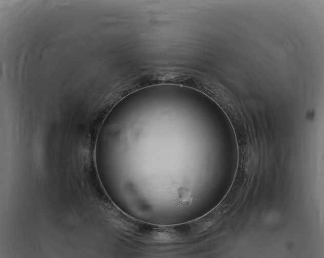 X0000094780510200711241342