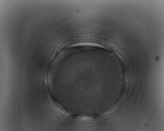 X0000094780512200711241342