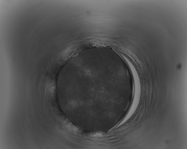 X0000094780513200711241342