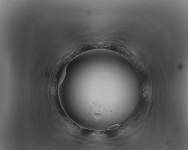 X0000094780515200711241342