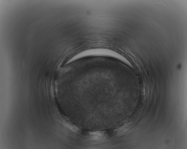 X0000094780516200711241342