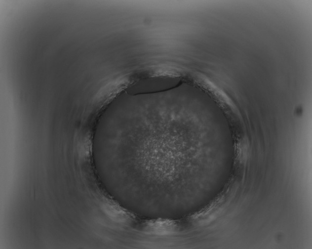 X0000094780517200711241342