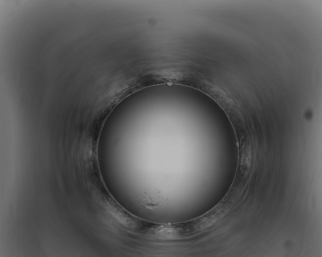 X0000094780518200711241342