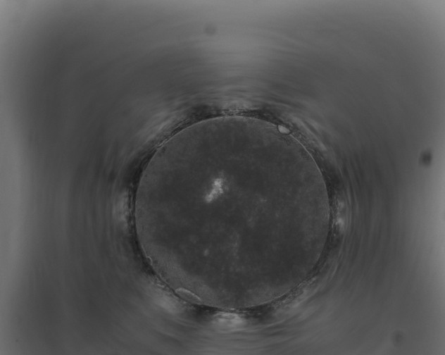 X0000094780519200711241342