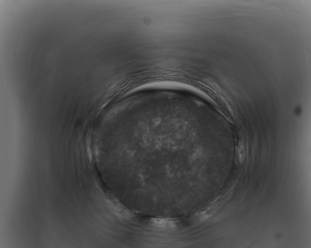 X0000094780520200711241342
