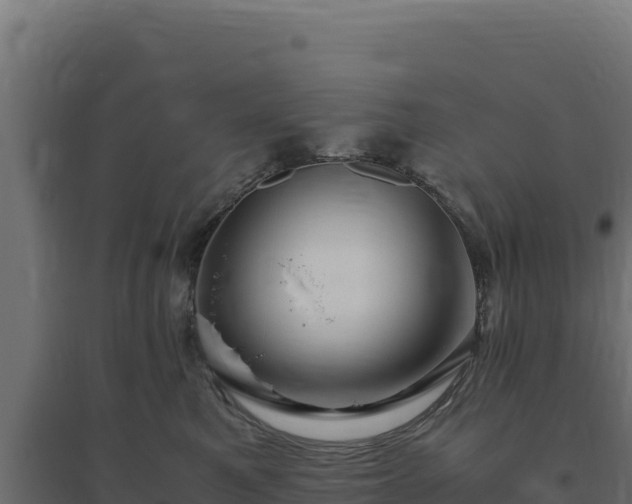 X0000094780521200711241342