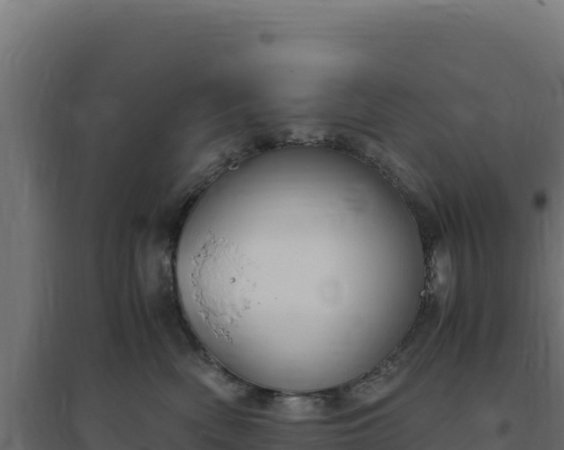 X0000094780522200711241342