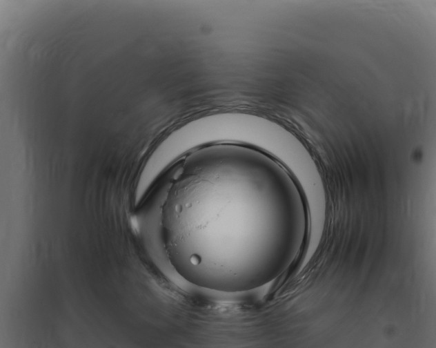 X0000094780524200711241342
