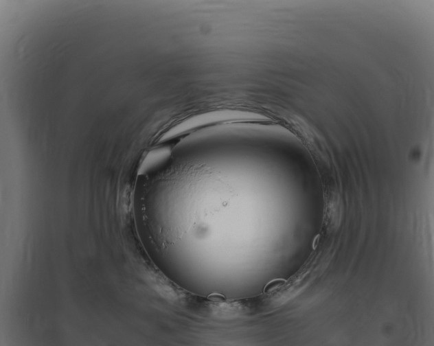 X0000094780525200711241342