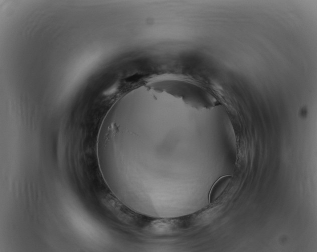X0000094780526200711241342