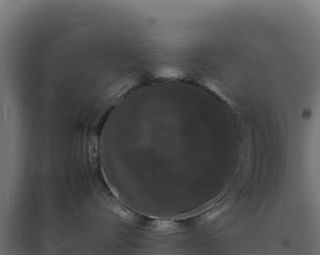 X0000094780528200711241342