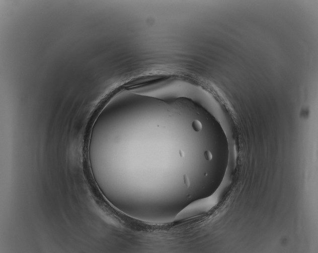X0000094780530200711241341