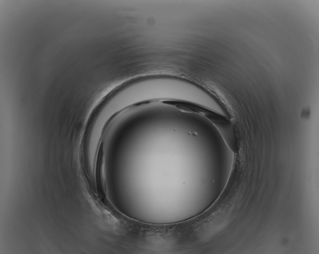 X0000094780532200711241341