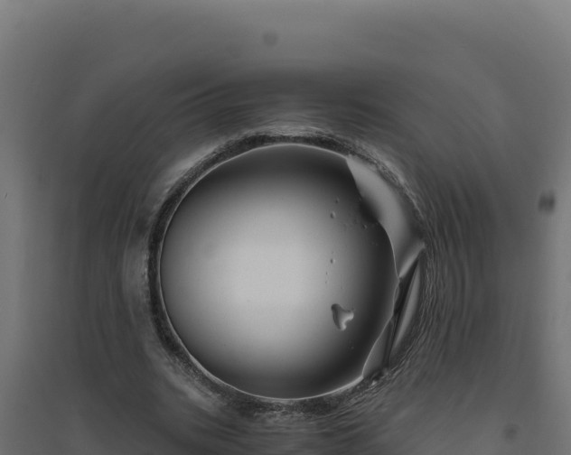 X0000094780535200711241341