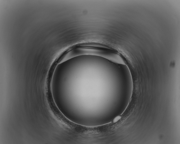 X0000094780536200711241341