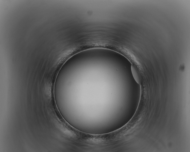 X0000094780537200711241341