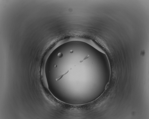 X0000094780538200711241341