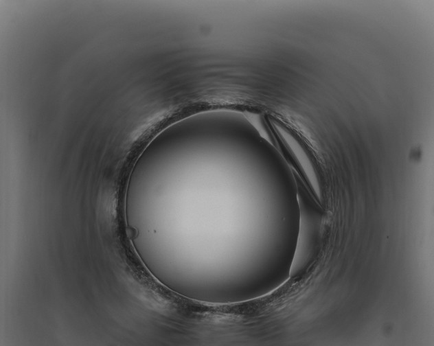 X0000094780539200711241341