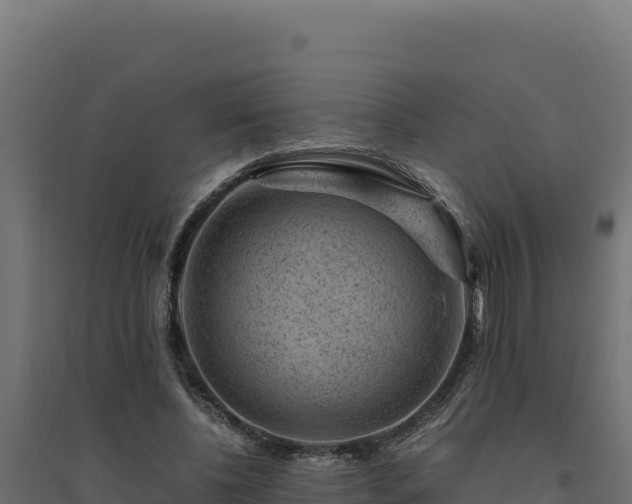 X0000094780540200711241341