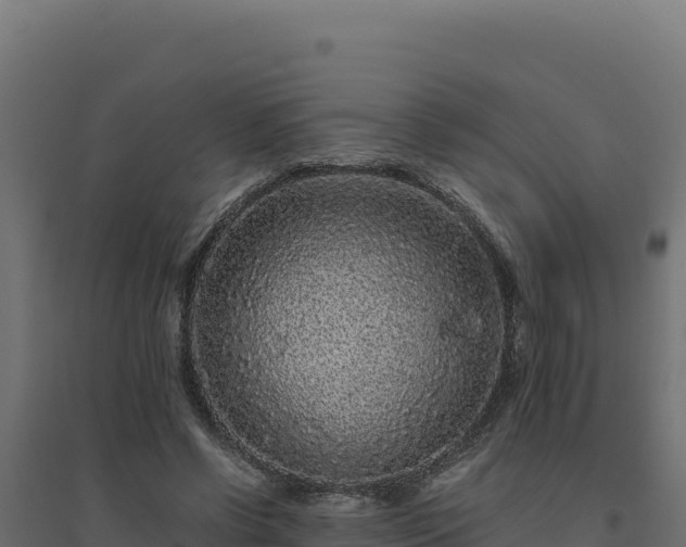 X0000094780542200711241341