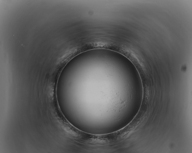 X0000094780545200711241341