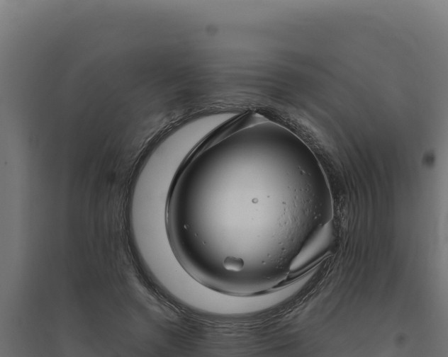 X0000094780546200711241341