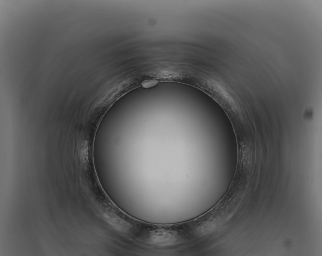 X0000094780549200711241341