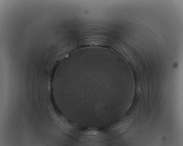 X0000094780551200711241341
