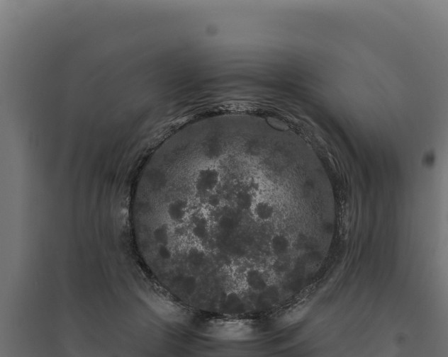 X0000094780553200711241341
