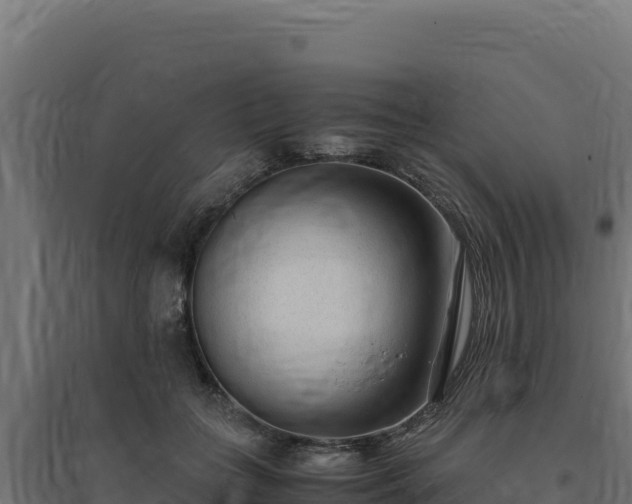 X0000094780555200711241341